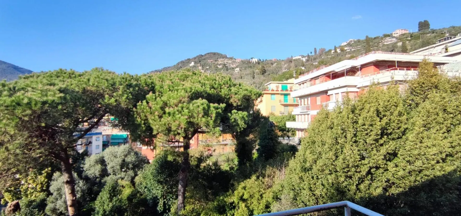 Il Pino Apartment Rapallo Italy